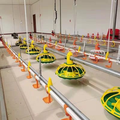 Dây chuyền thức ăn cho gà hoàn toàn tự động 450kg / H với ống mạ kẽm phễu