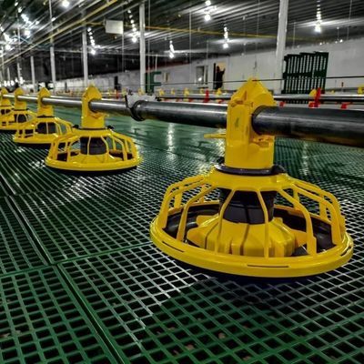 Gavanized nóng Thiết bị chăn nuôi gà Tầng gà thịt Pan Feeder Gia cầm