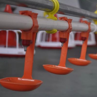 Bình uống núm vú HX có cốc 0,031kg Gà cho chim cút ăn