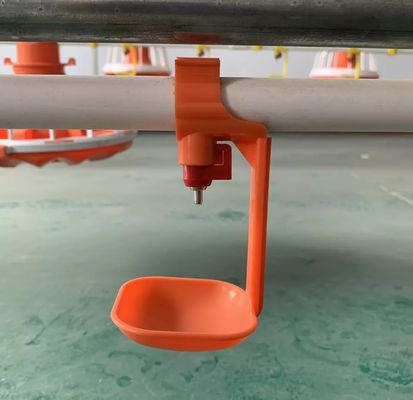 Hệ thống nước núm vú OEM / ODM cho gia cầm Bảo hành 3 tháng