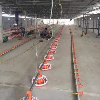 14 lưới Thiết bị chăn nuôi gà thịt 3 chảo/3m Thiết bị chăn nuôi gia cầm gà thịt