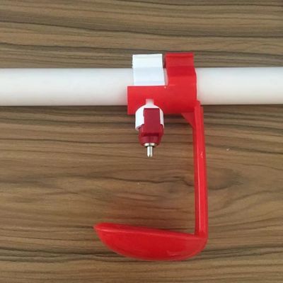 Máy tưới nước núm vú gà tự động 5-10 con chim Ống nước 22 * ​​22mm