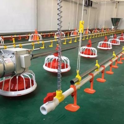 Hệ thống cho ăn gà thịt 14 lưới 16 lưới Nhựa và thép mạ kẽm
