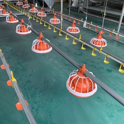 Thiết bị trang trại gia cầm cho ăn EO Hệ thống cho ăn tự động cho gia cầm Bảo hành 1 năm
