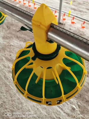 15 lưới tản nhiệt Chảo thức ăn cho gia cầm Chảo thức ăn cho gà cho gà thịt