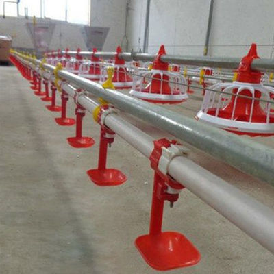 Thiết bị trang trại gia cầm 380v Hệ thống cho ăn bằng chảo tự động 3 chảo / 3m