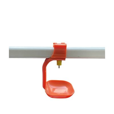 Hệ thống cho ăn tự động chứng nhận CE cho trang trại gà và trang trại gia cầm