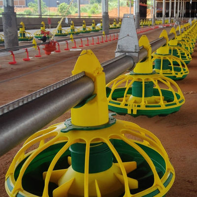 Vật liệu PP Bộ nạp gia cầm tự động cho gà thịt Chứng nhận CE