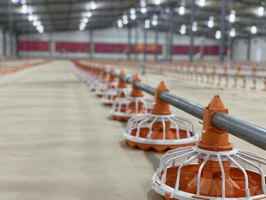 14/16 phân vùng Trang trại gia cầm Thiết bị cho gà ăn và uống bằng nhựa