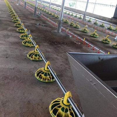 14/16 phân vùng Trang trại gia cầm Thiết bị cho gà ăn và uống bằng nhựa