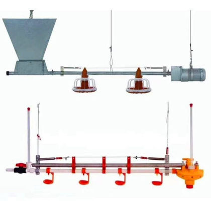 Dây chuyền thức ăn cho gà hoàn toàn tự động 450kg / H với ống mạ kẽm phễu