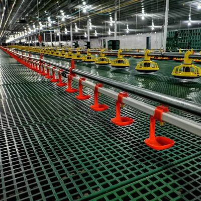 Hệ thống cho ăn gà thịt núm vú có thể điều chỉnh Phễu gavanized nóng