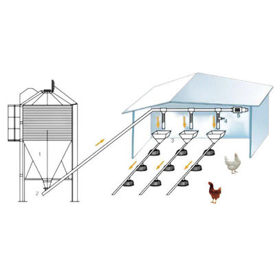 45-65 gà thịt Thiết bị chăn nuôi gà Hệ thống thức ăn cho gà HX