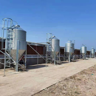 Chăn nuôi Thùng đựng thức ăn nông nghiệp Silo lưu trữ ngũ cốc mạ kẽm