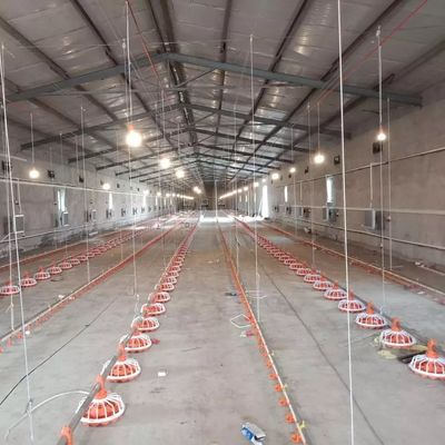 Bộ nạp gia cầm tự động 16 lưới 45-60 Khả năng khay thức ăn cho gà