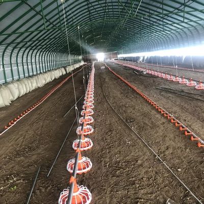 45-60 Thiết bị trang trại chăn nuôi gia cầm gà Hệ thống cho ăn trang trại gia cầm 3 chảo / 3m