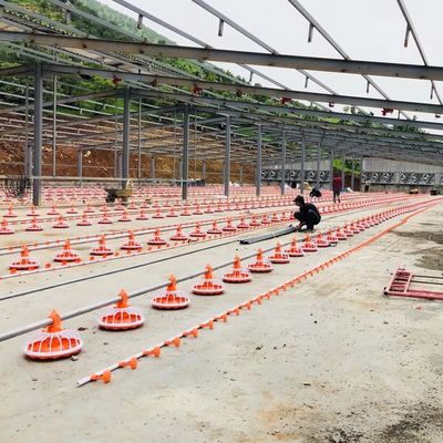 Thiết bị trang trại gia cầm 4 chảo / 3m Hệ thống cho ăn tự động 380v
