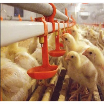 Hệ thống uống núm vú gà chim cút Bảo hành 3 tháng