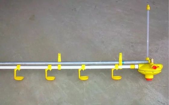 Bình uống núm vú bền tiện lợi cho nhà máy sản xuất gà thịt