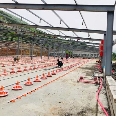 Máy nuôi gia cầm Dia 45mm Thép mạ kẽm cho các sản phẩm gà thịt