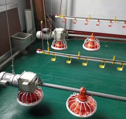Máy chăn nuôi gia cầm giống / gà thịt 14 16 ngăn