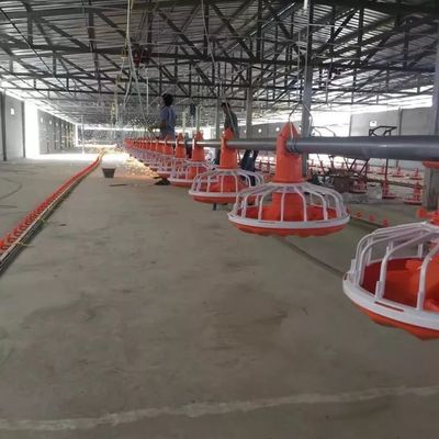 Máy nuôi gia cầm 0,75m Thiết bị chăn nuôi gia cầm bằng thép mạ kẽm