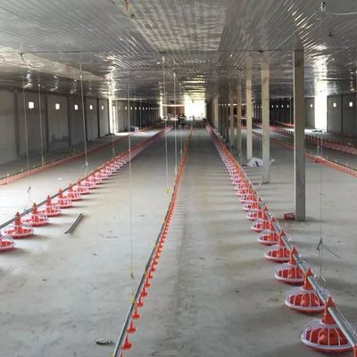 Ống mạ kẽm Máy nuôi gia cầm Pan Hệ thống cho ăn Đường kính 45mm