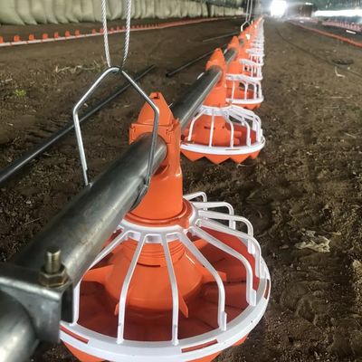 Hệ thống cho gà ăn 3 Pan/3m Cài đặt dễ dàng Tuổi thọ cao