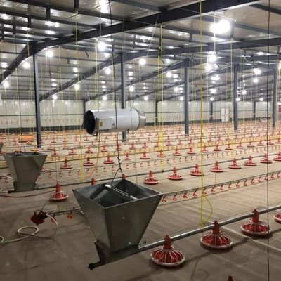 4 chảo/3m 3 chảo/3m Hệ thống cho gà ăn bằng chảo Bảo hành 1 năm