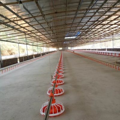 14 Grid 16 Grid Thiết bị trang trại gia cầm Dây chuyền cho gà ăn