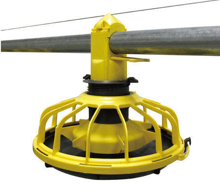 14/16 phân vùng Trang trại gia cầm Thiết bị cho gà ăn và uống bằng nhựa