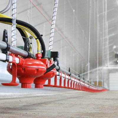 Vật liệu nhựa cho gia cầm ăn và uống Thời gian phục vụ lâu dài