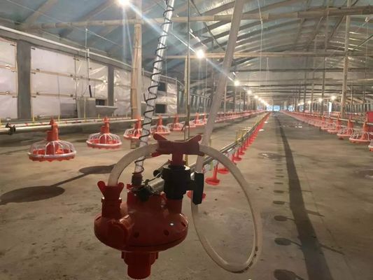 Thiết bị cho gà ăn 4 Pan / 3m 380v 0,75kw với thiết bị lái xe